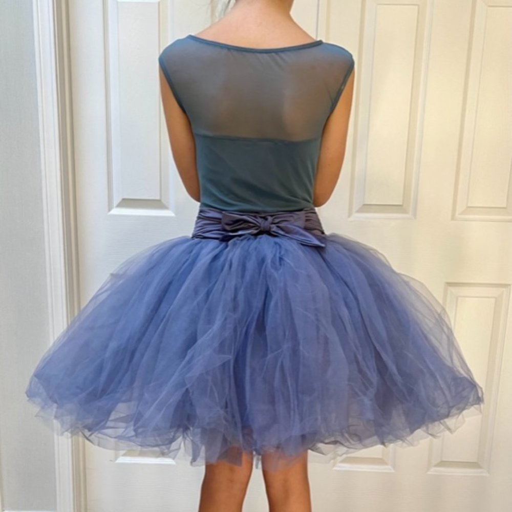Dance Costume - Picture 2 of 2